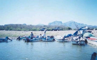 Barcos de pesca